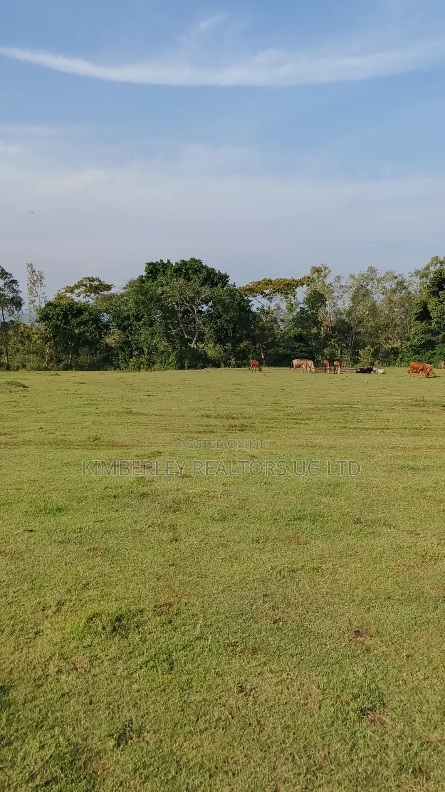 Entebbe Road – Bwerenga 1⁄4 Acre (Lake View) for Sale