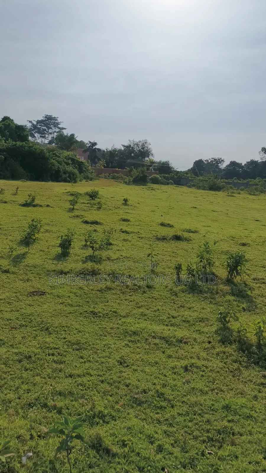 Entebbe Road – Bwerenga 1⁄4 Acre (Lake View) for Sale