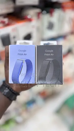 Google Fitbit Air