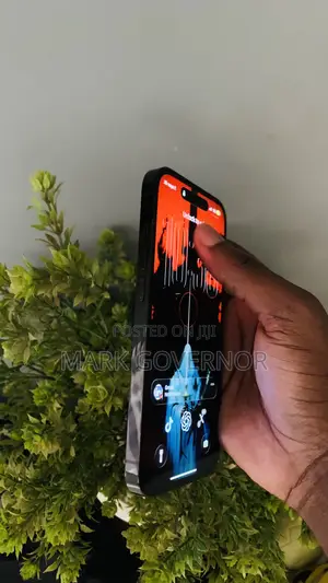 Apple iPhone 14 Pro 256 GB Gray