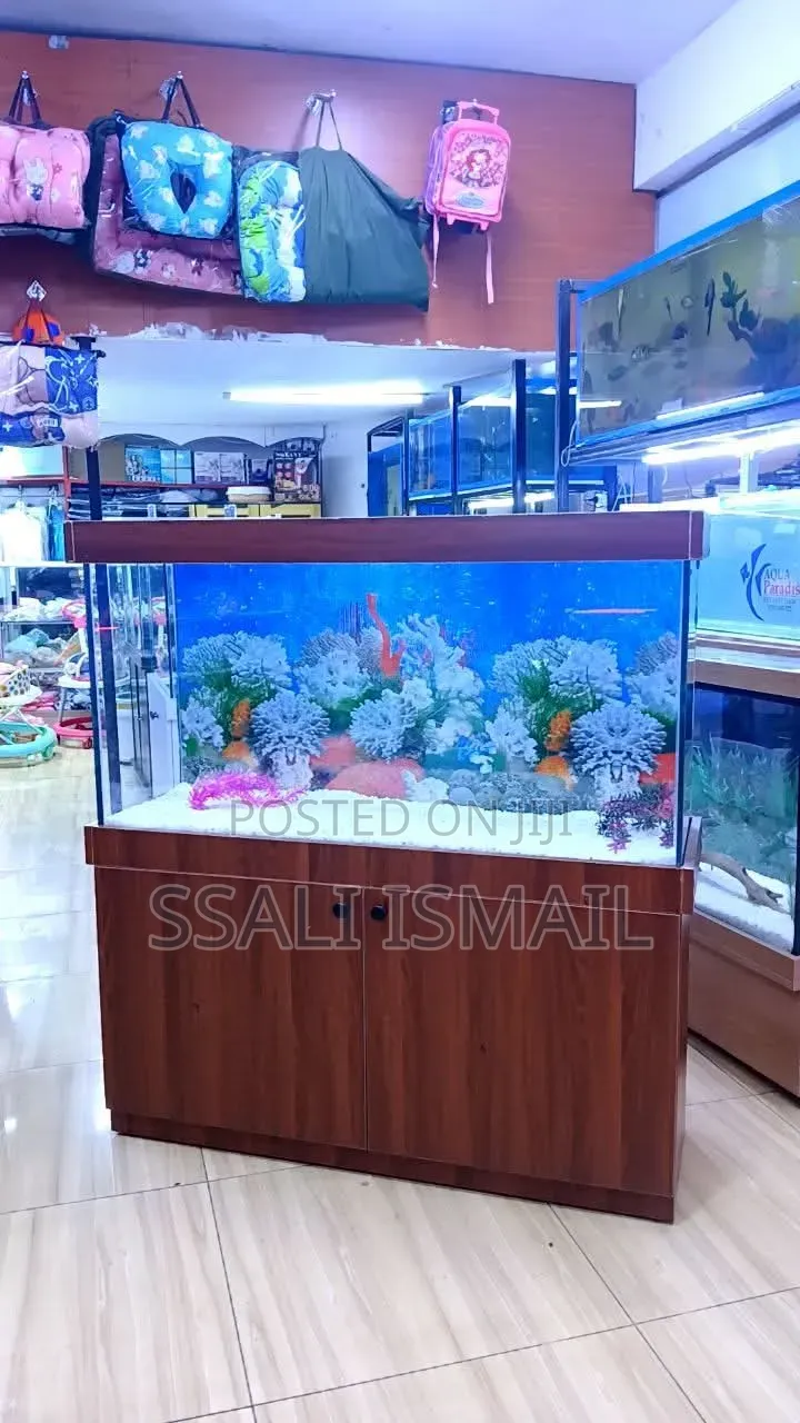 Brown Coloured Crystal Clear Water Aquarium