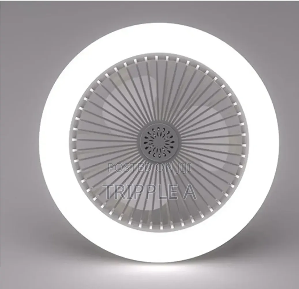 Silent Ceiling Fan With Light