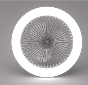 Silent Ceiling Fan With Light