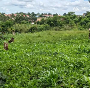 2acres of Land in Hoima City Near Hot Cake on Sale