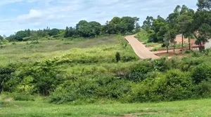 80acres in Hoima Towards the Airport on Sale
