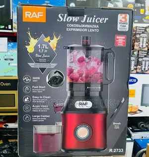 Raf Cold Press Slow Juicer (Model R.2733