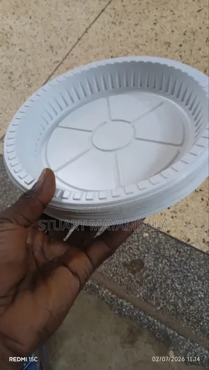 Round Disposable Plate