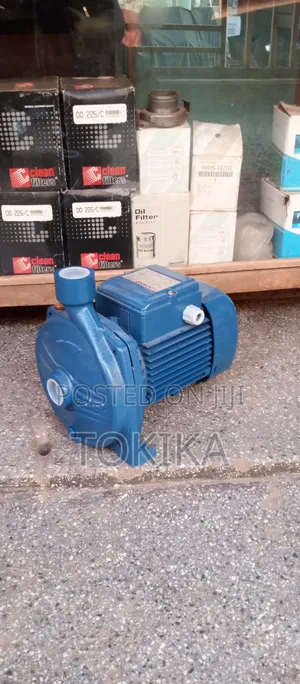Pedrollo Surface Water Pump 1hp