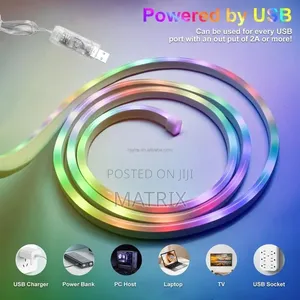 Smart Neon Lights RGB Led Lights