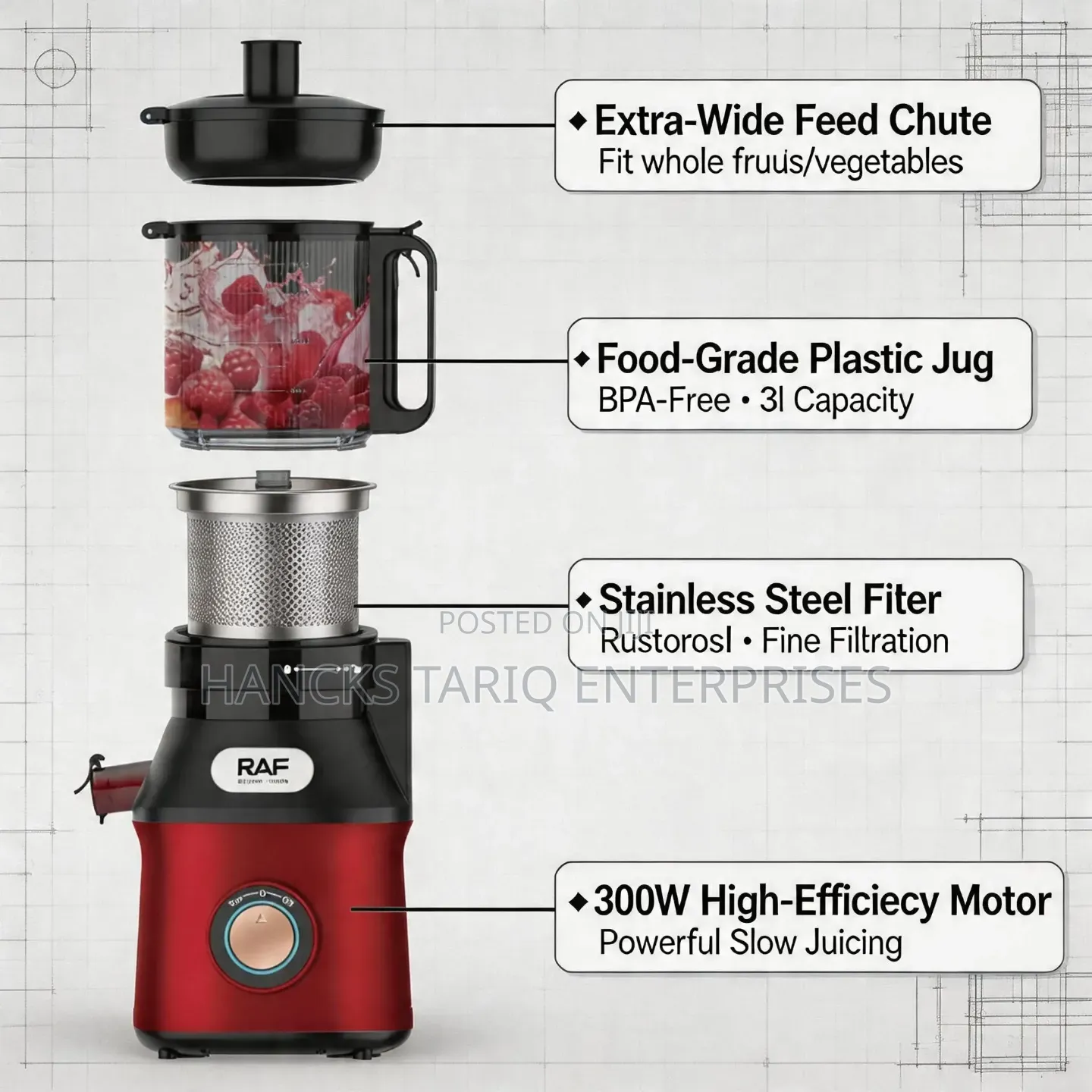Raf High-Performance Juicer (Model R.2733)