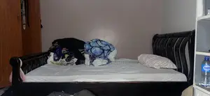 4by5 Wooden Bed