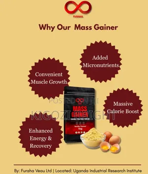 Whey Protein