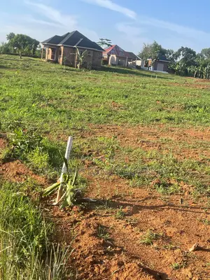 Affordable Nakawuka Estate Plots on Quick Sale!