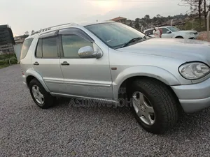 Mercedes-Benz M Class 2004 Silver