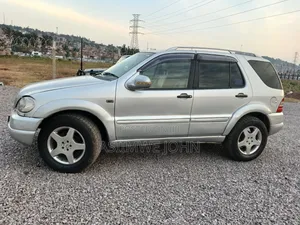 Mercedes-Benz M Class 2004 Silver