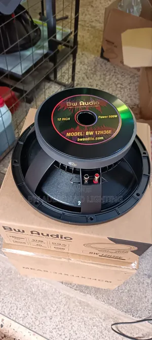 12inch 75 Coil Speaker