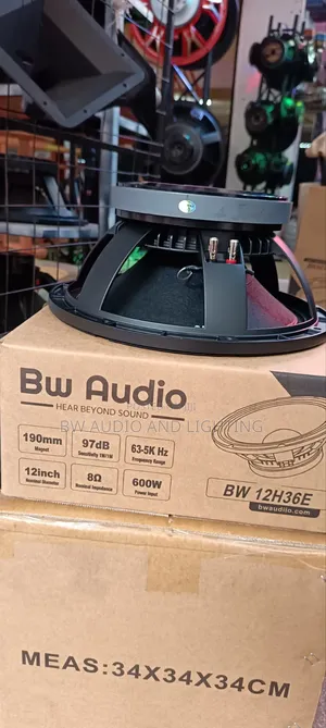 12inch 75 Coil Speaker