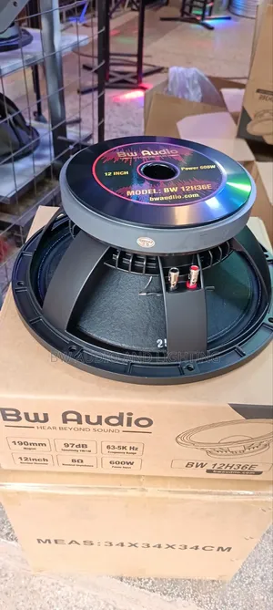 12inch 75 Coil Speaker
