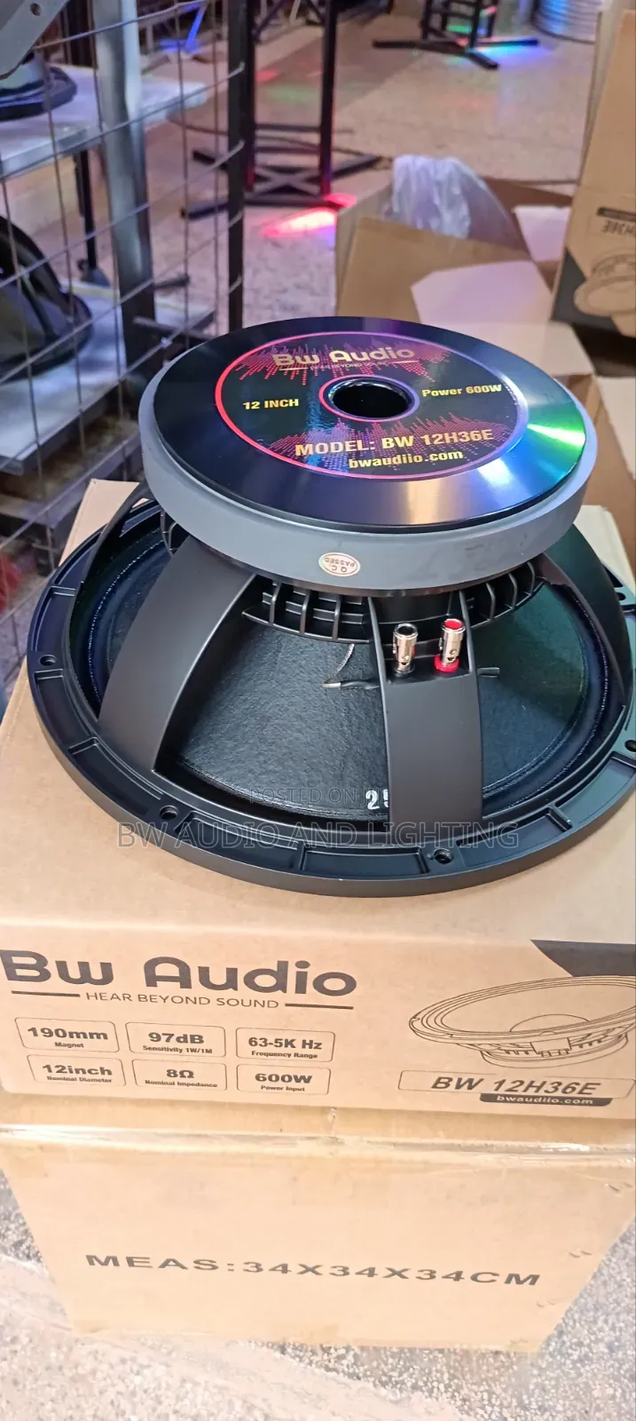 12inch 75 Coil Speaker