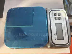 Stainless Steel Waterproof Digital Kitchen Weighing Scale 10kg Kz-169