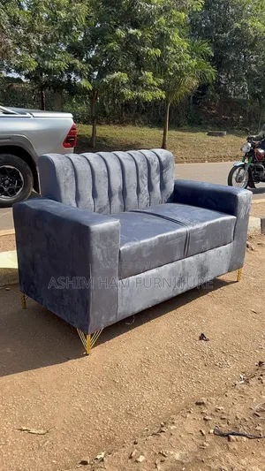 Fabric Plain Sofas in 2seater Sofa