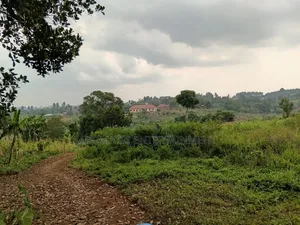 Gayaza, Kisozi Land for Sale