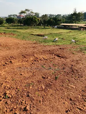 7 Acres for Sale – Luweero Wabigali (After Buzibwera)