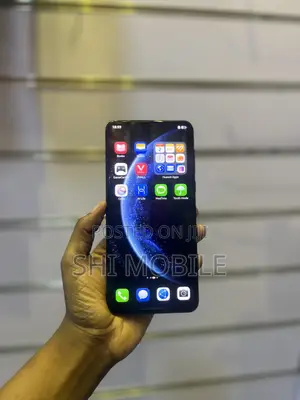 Huawei Mate 60 Pro 512 GB Gray