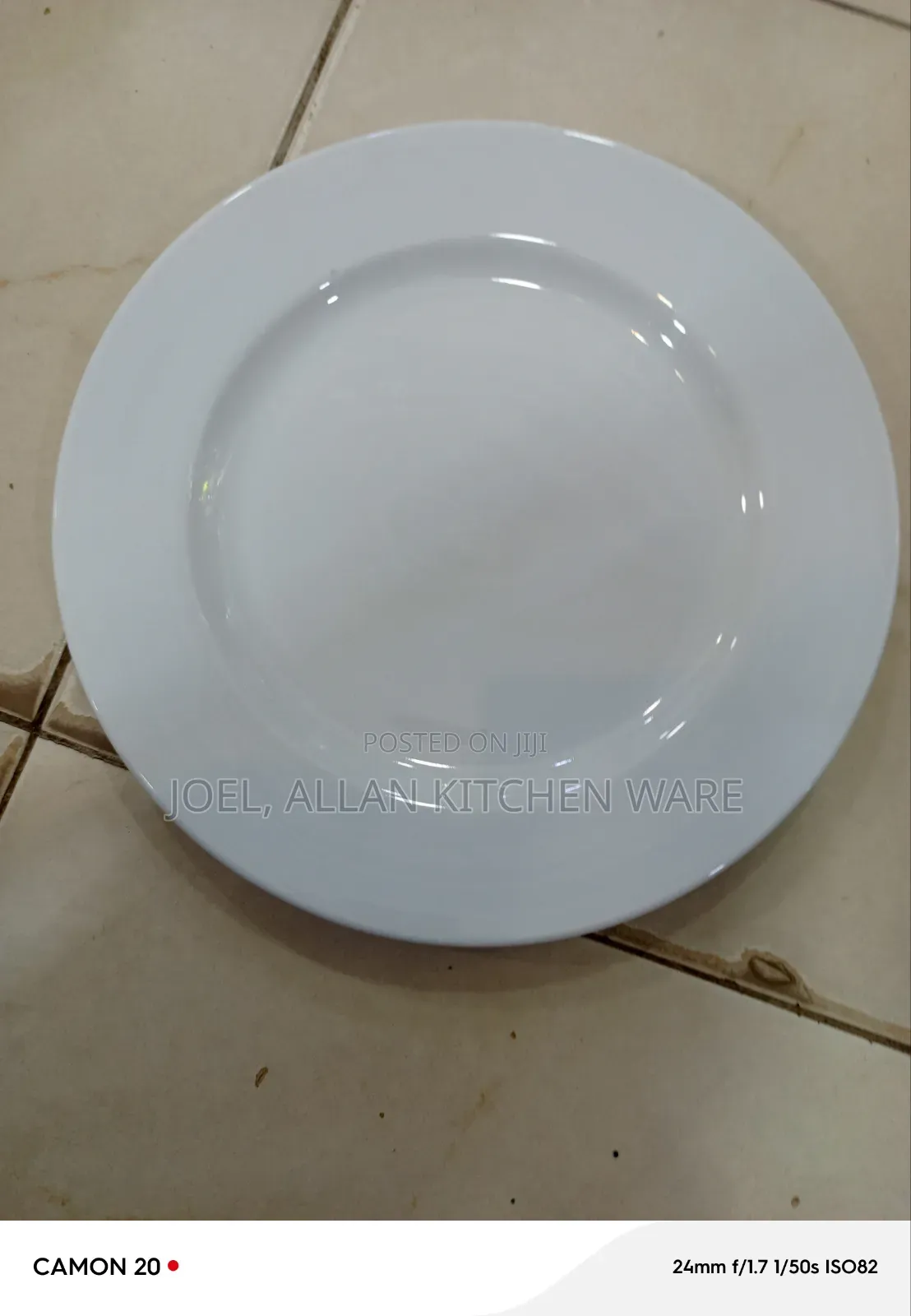 Dinner Plates