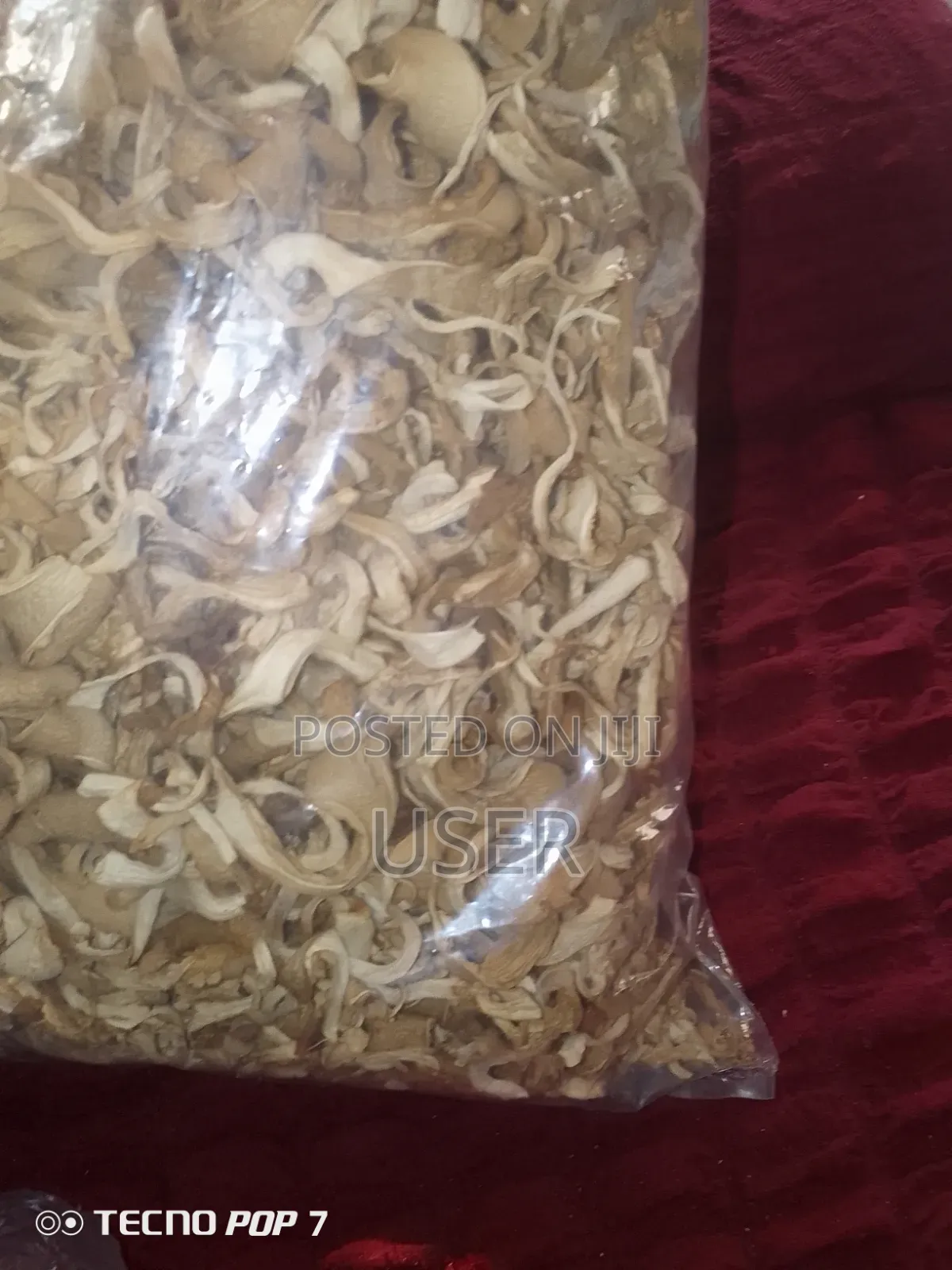 Sabbath Mushroom Growers.
