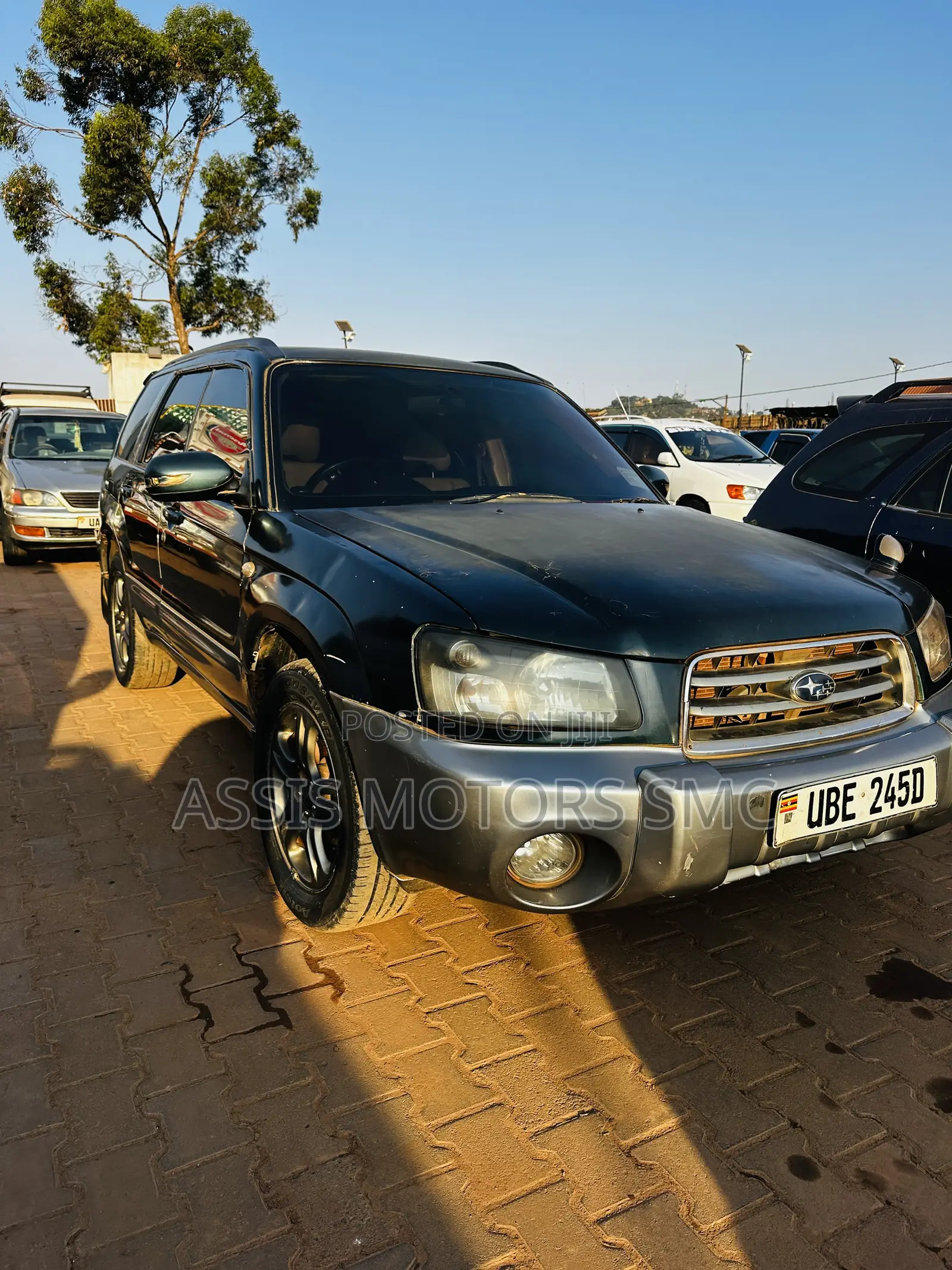 Subaru Forester 2009 Green