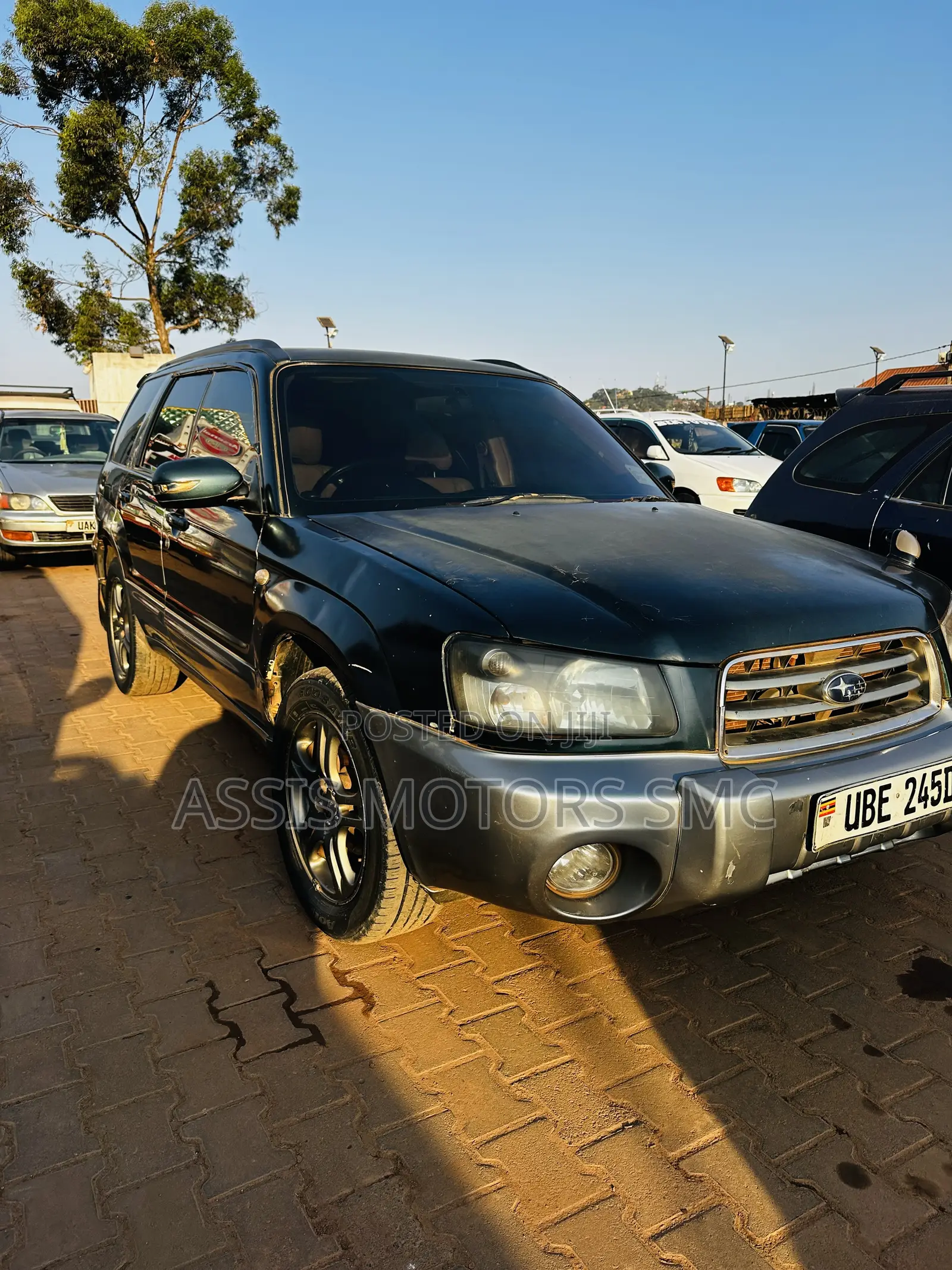 Subaru Forester 2009 Green