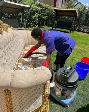 Sofa Set Cleaning Services
