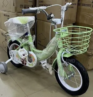 Saft Kids Bicycle Green 1 to 9 Years