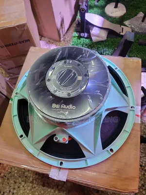 15inches 75.5 Coil Speaker Woofer