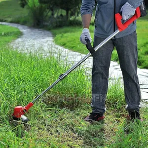 Wheeled Cordless Weed Cutter