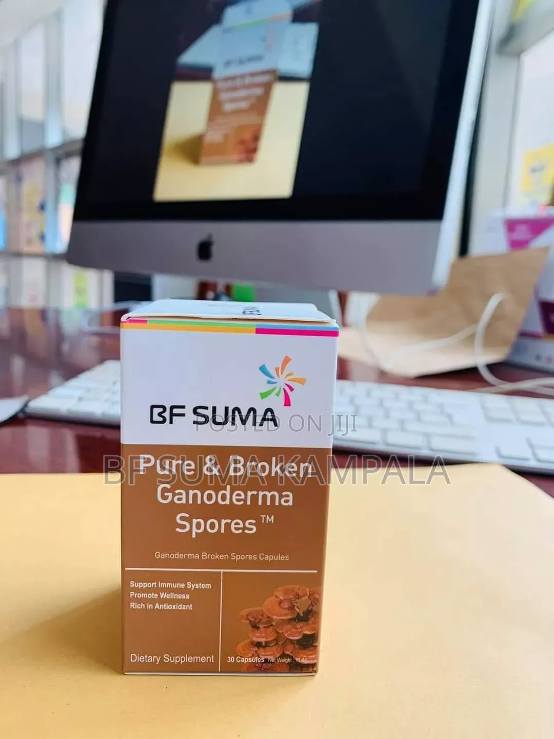 Pure And Broken Ganoderma Spores Capsule
