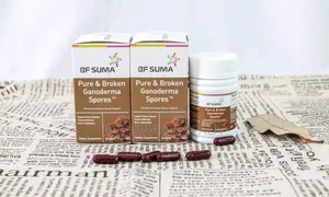 Pure And Broken Ganoderma Spores Capsule