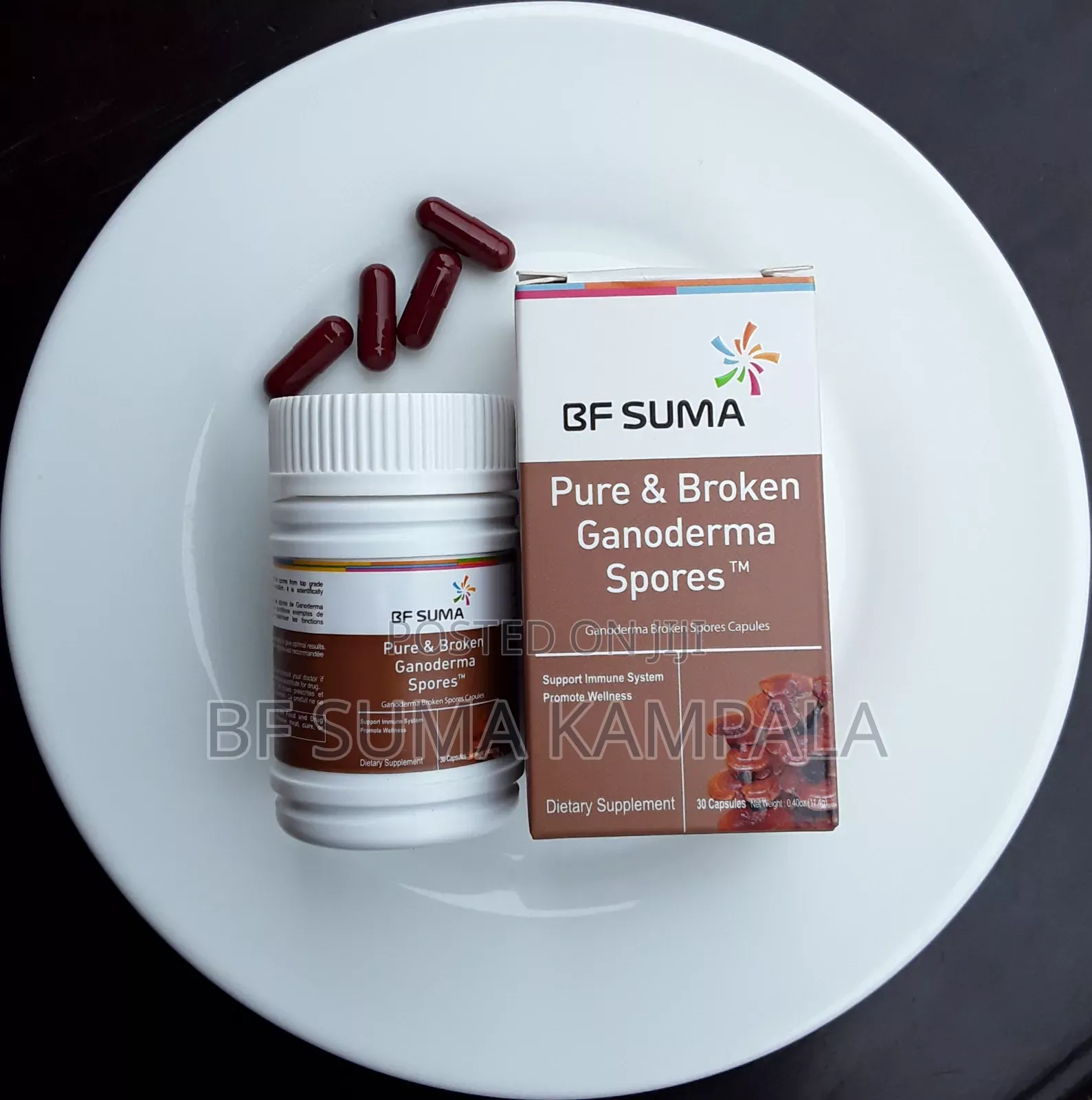 Pure And Broken Ganoderma Spores Capsule