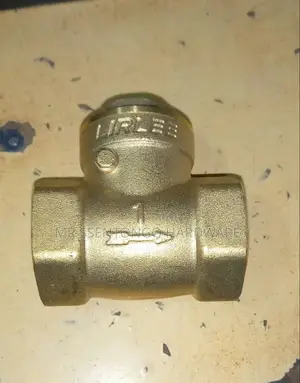 Gi None Return Valve Size 1 Inch Lirlee Good Quality (All Sizes)