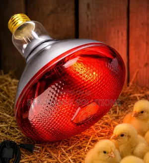 Infrared Brooding Lamps