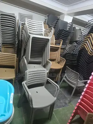 Backrest Zebra Plastic Chairs Plastic Chairs
