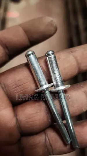 Rivets ( Available in All Sizes)