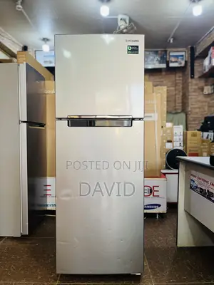 Samsung 320l Double Fridge