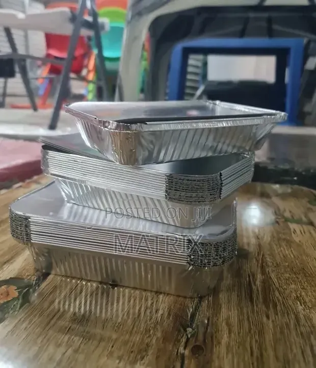 Silver Plates for Food 12pcs Medium Size