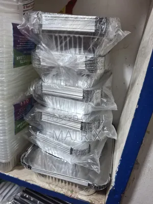 Silver Plates for Food 12pcs Medium Size