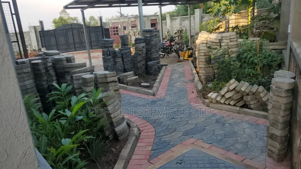 Paving Services – Driveways Walkways