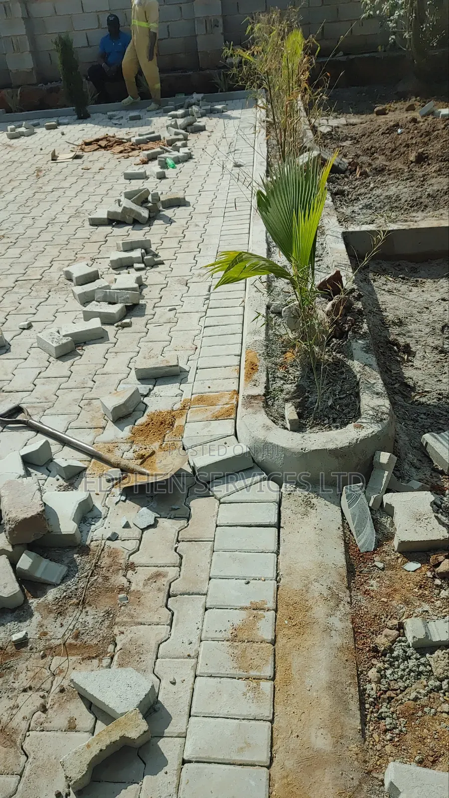 Paving Services – Driveways Walkways