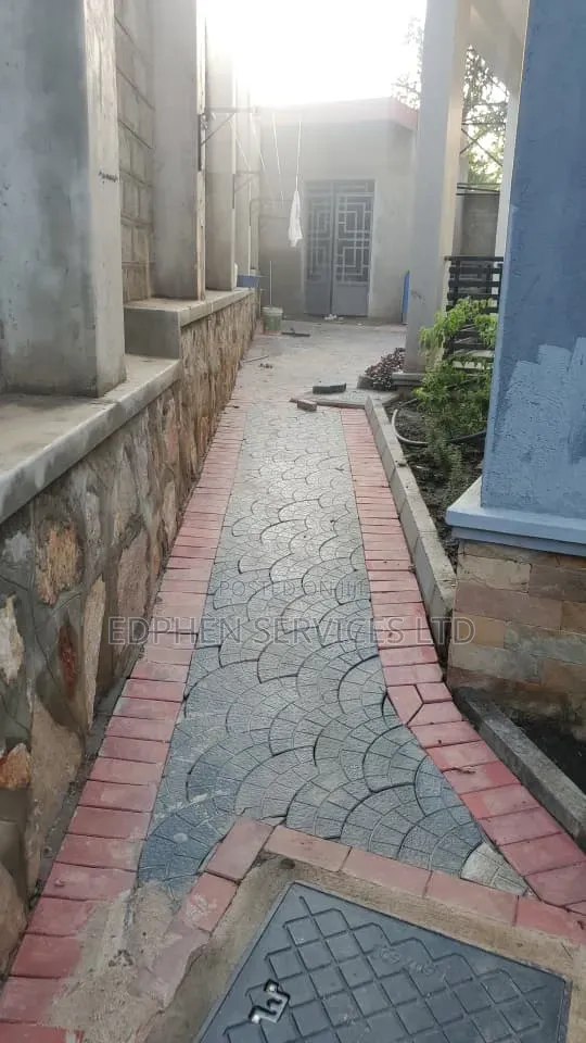 Paving Services – Driveways Walkways