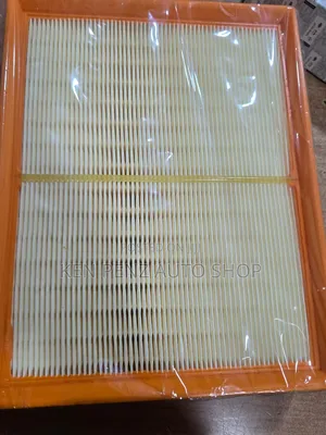 Nissan Navara Air Filter/ Cleaner